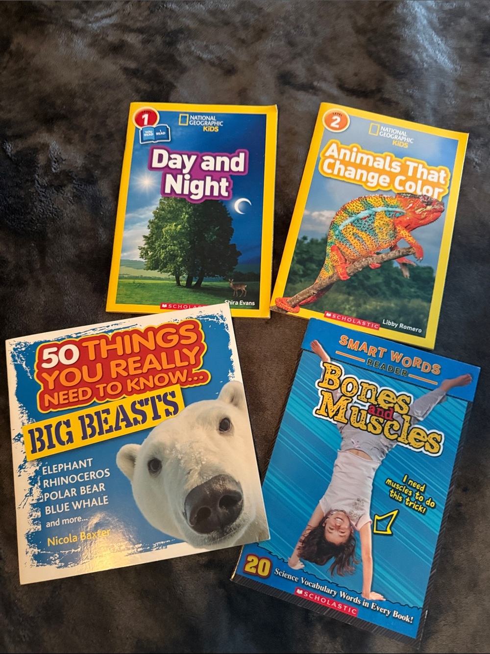 Scholastic Kids Books - and Animal Educational Book Set